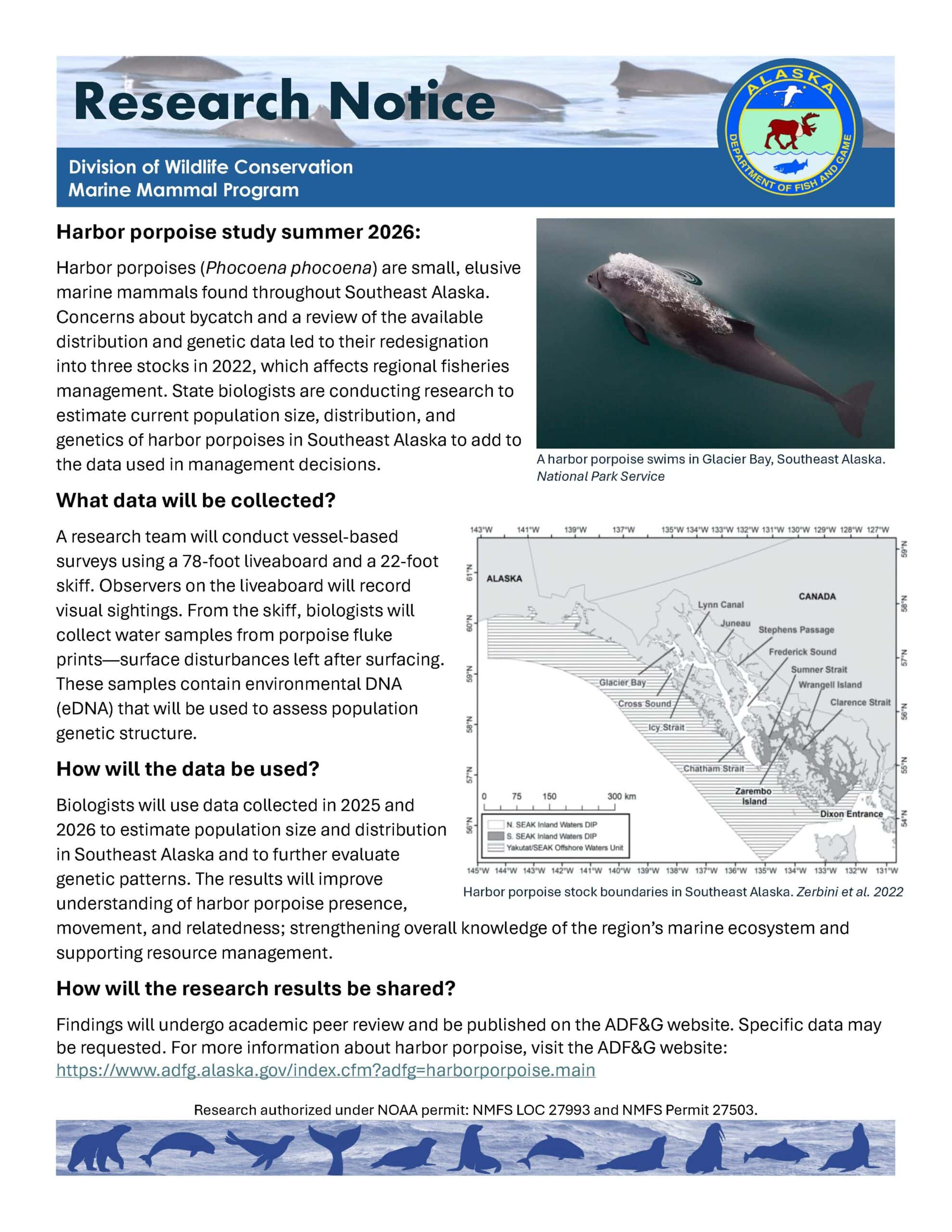 Research Notice Harbor Porpoise
