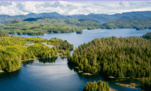 A series of islands in a bay before a larger, mountainous land mass.